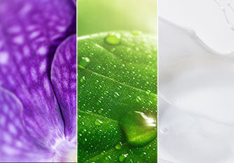 About the Ingredients